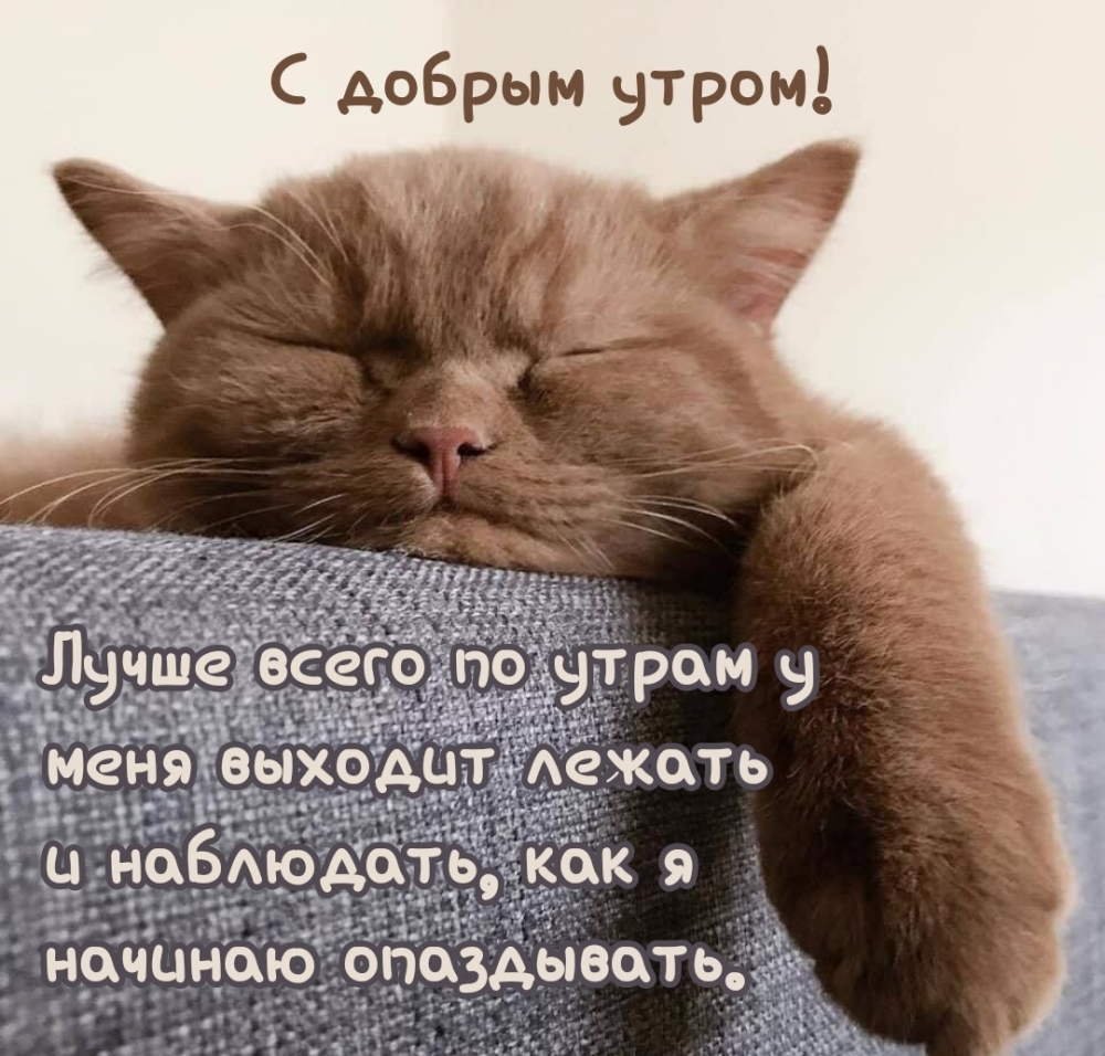 Лучше всего по утрам у меня выходит лежать и…