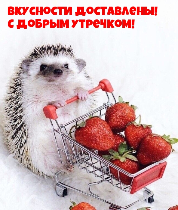Вкусности доставлены! С добрым утречком!