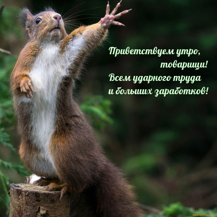 Приветствуем утро, товарищи!