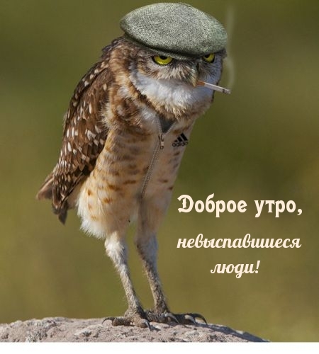 Доброе утро, невыспавшиеся люди!