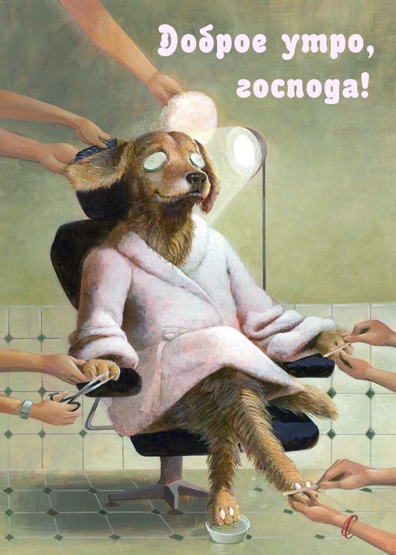 Доброе утро, господа!