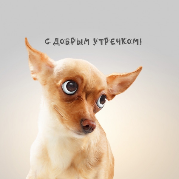 С добрым утречком!