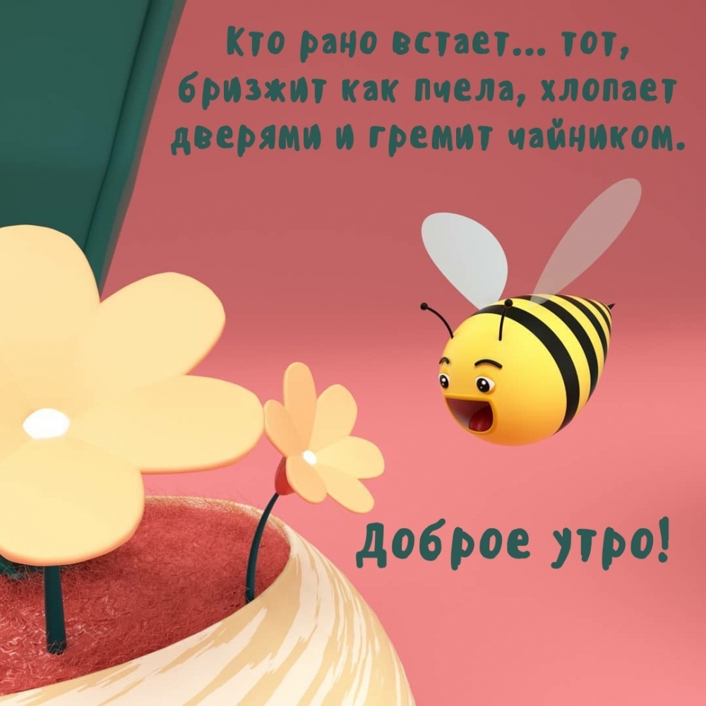 Доброе утро! Кто рано встает… тот, бризжит как пчела