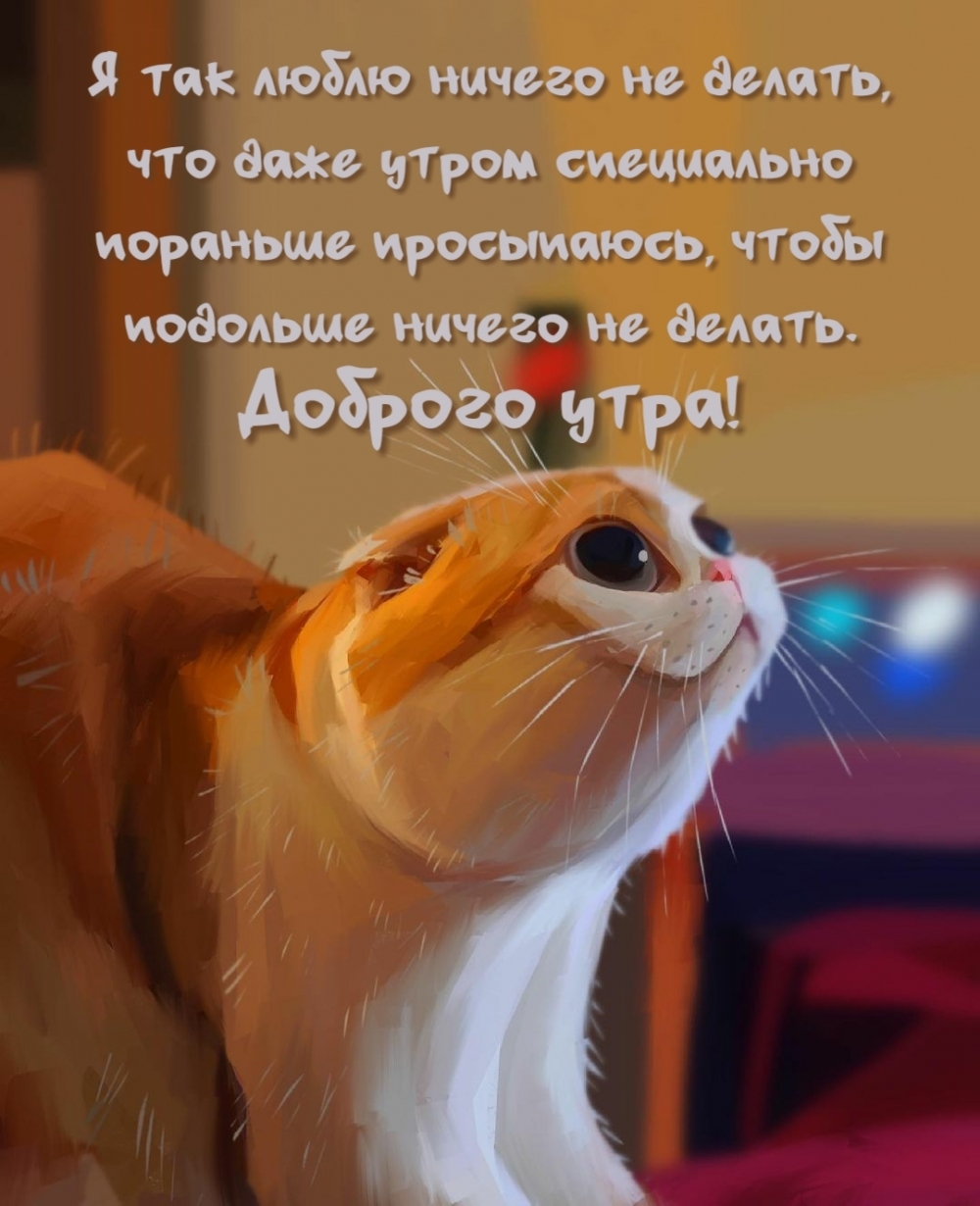 Доброго утра! Я так люблю ничего не делать