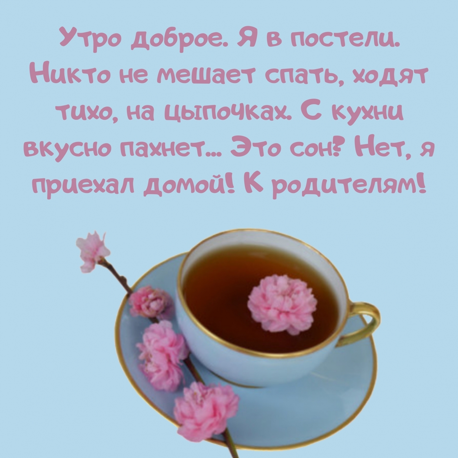 Утро доброе! Я приехал домой! К родителям!