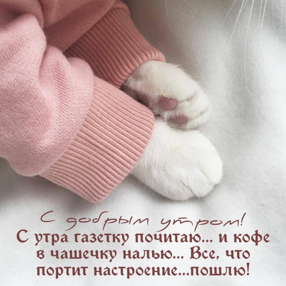 С добрым утром! Все, что портит настроение… пошлю!