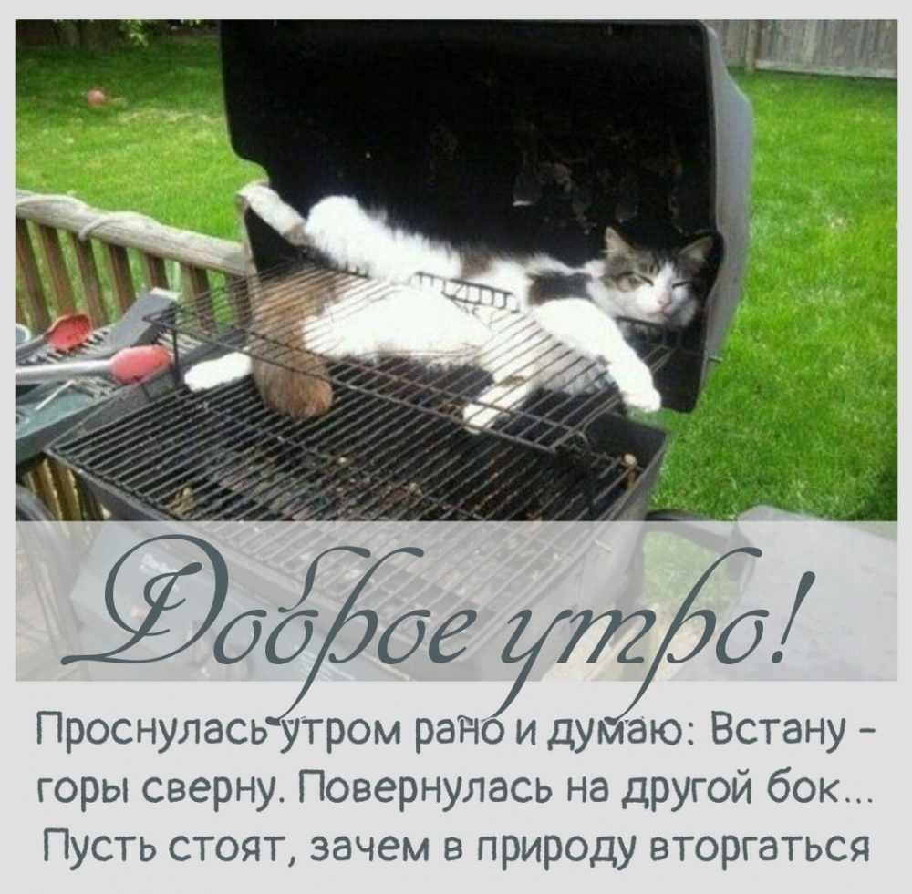 Доброе утро! Проснулась рано утром и думаю…