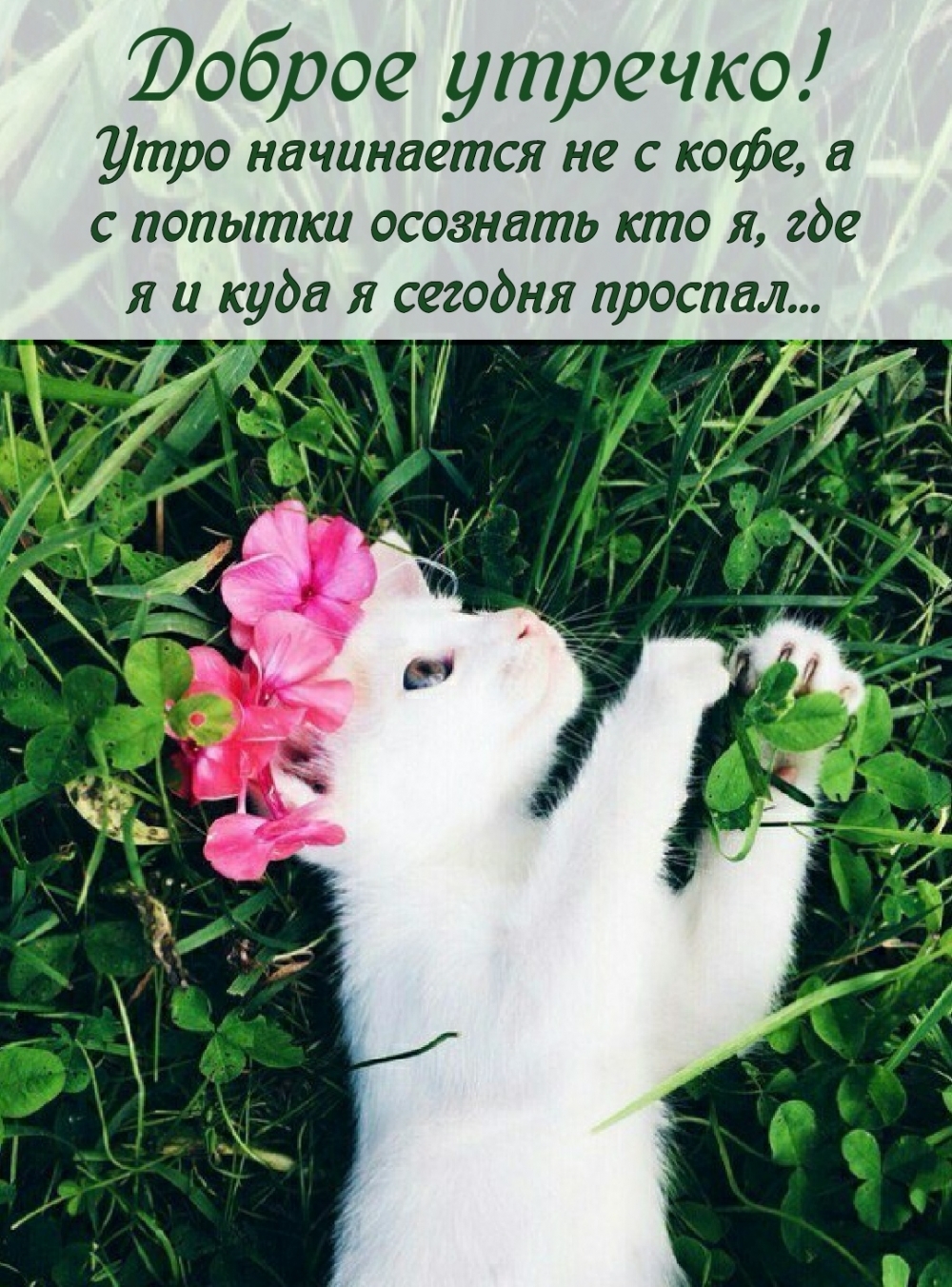 Доброе утречко! Утро начинается с попытки осознать кто я, где я