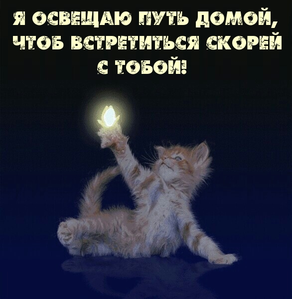 Я освещаю путь домой, чтоб встретится скорей с тобой!