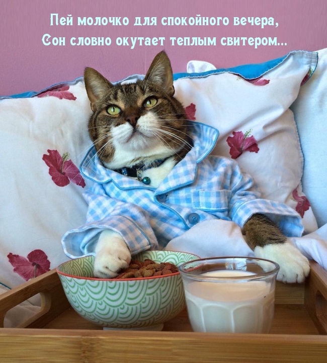 Картинки с надписями.  Пей молочко для спокойного вечера.