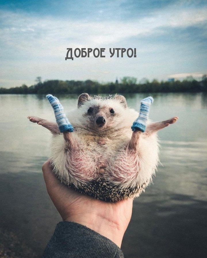 Доброе утро!