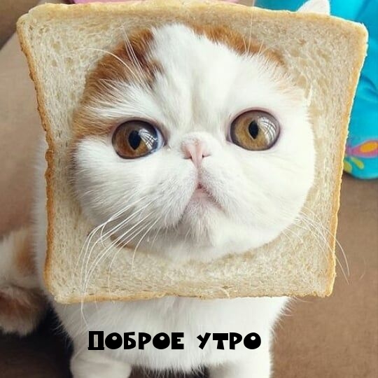 Доброе утро