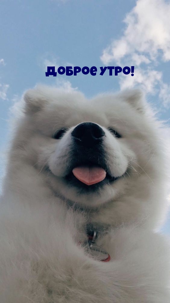 Доброе утро!