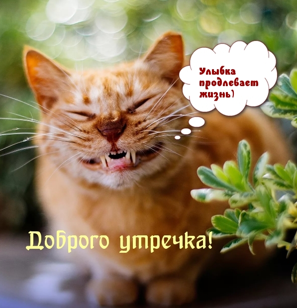 Улыбка продлевает жизнь)