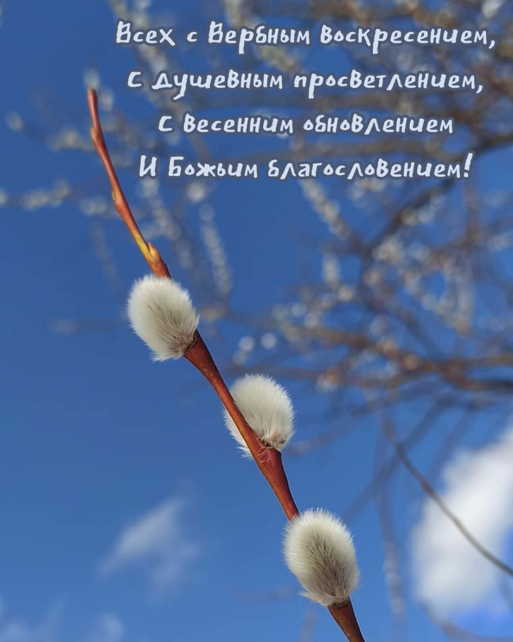 Всех с Вербным воскресением, с душевным просветлением