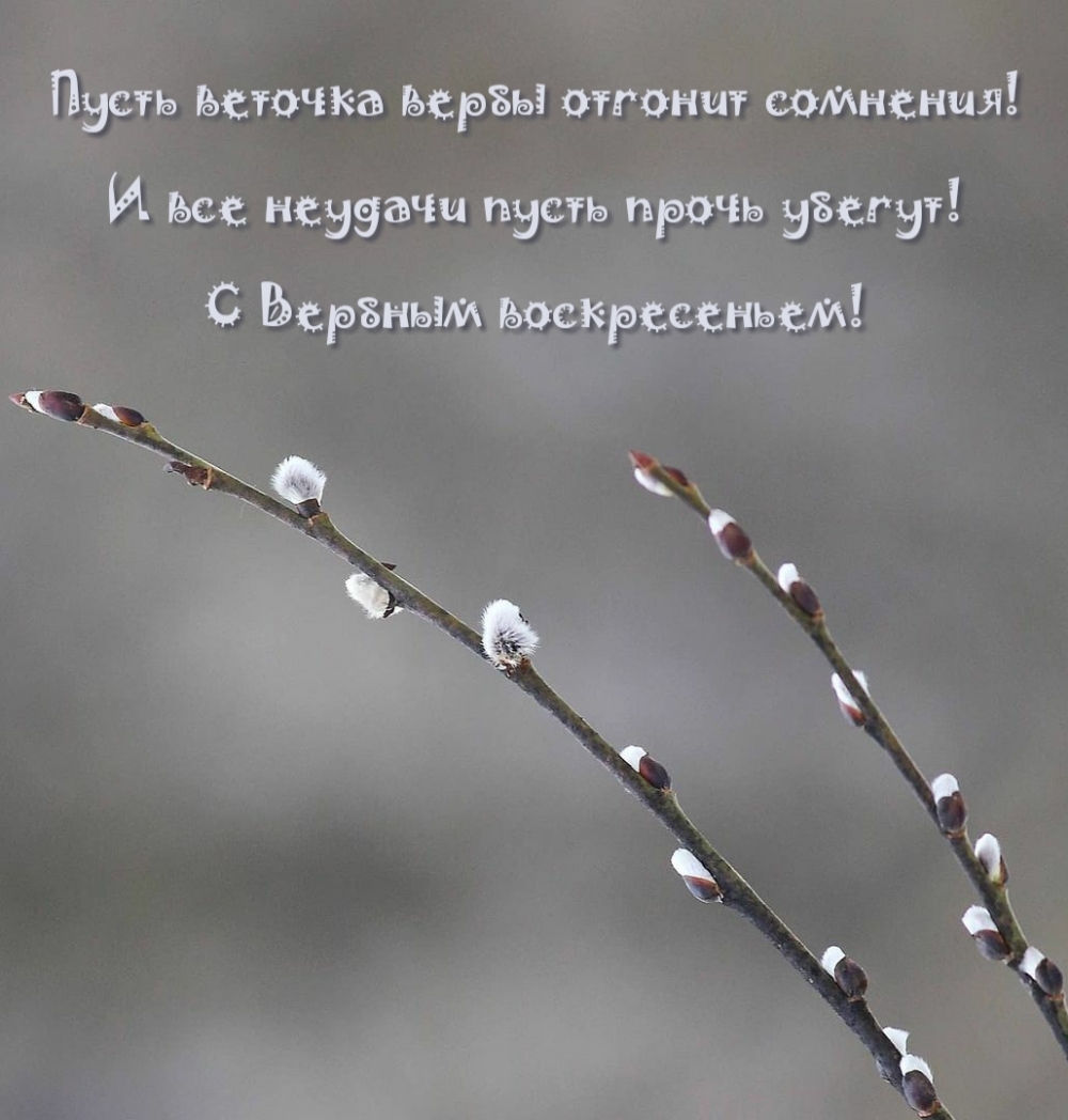 Пусть веточка вербы отгонит сомнения!