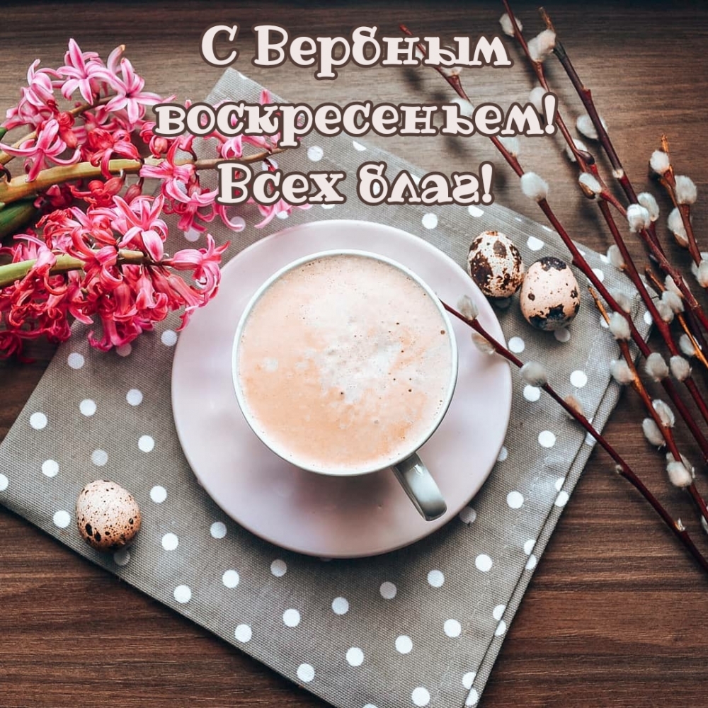 С Вербным воскресеньем! Всех благ!