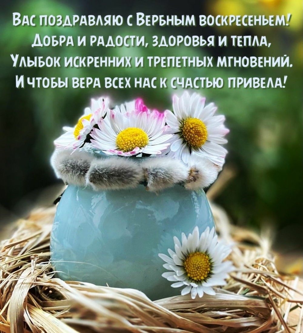Вас поздравляю с Вербным воскресеньем!