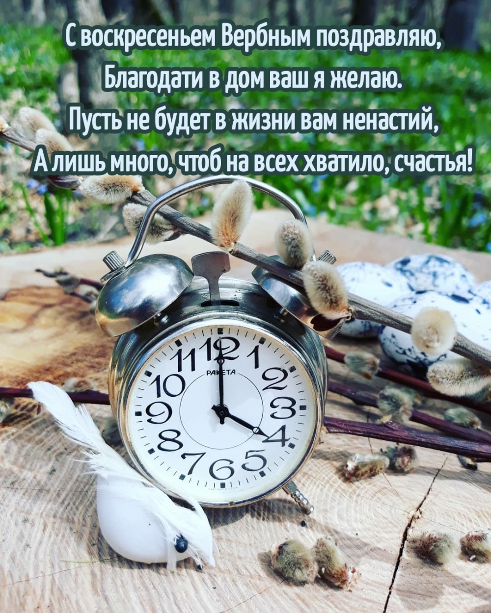 С воскресеньем Вербным поздравляю