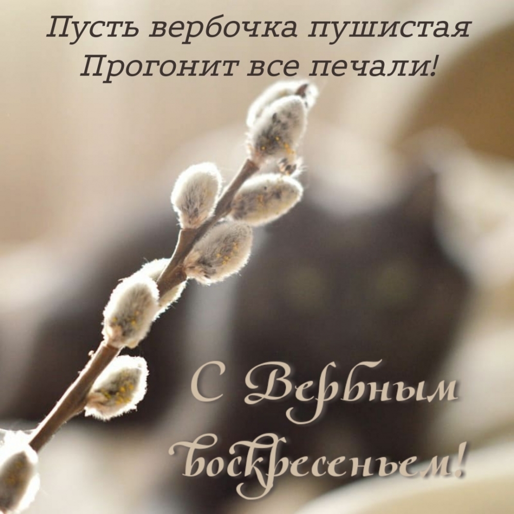 Пусть вербочка пушистая прогонит все печали!