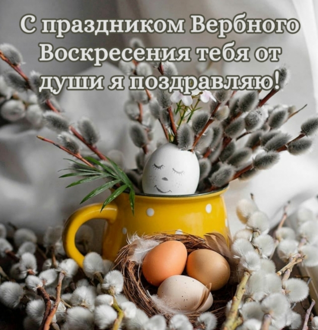 С праздником Вербного Воскресения тебя от души я поздравляю!