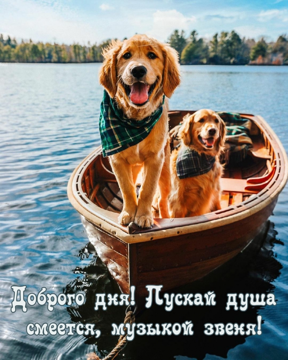 Доброго дня! Пускай душа смеется, музыкой звеня!