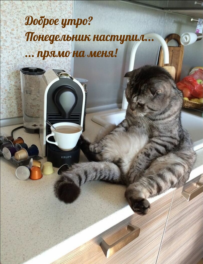 Доброе утро? Понедельник наступил… … прямо на меня!