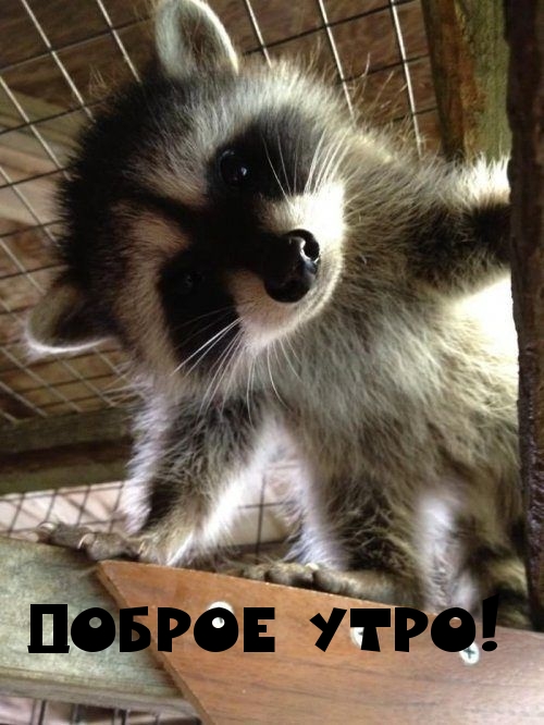 Доброе утро!