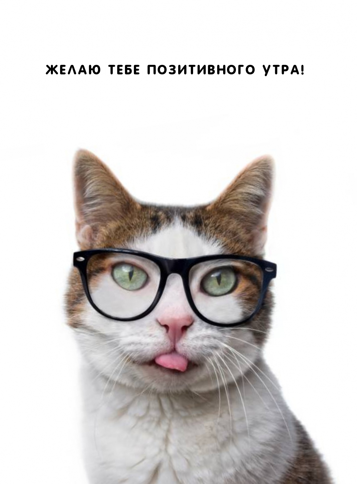 Желаю тебе позитивного утра!