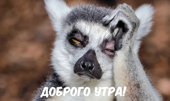 Доброго утра!