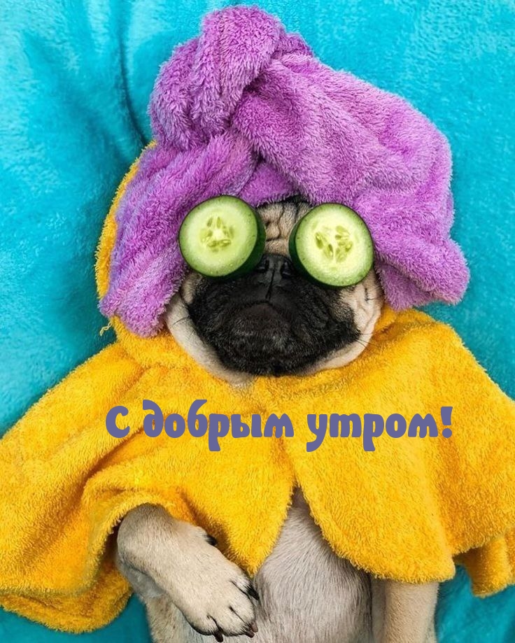 С добрым утром!
