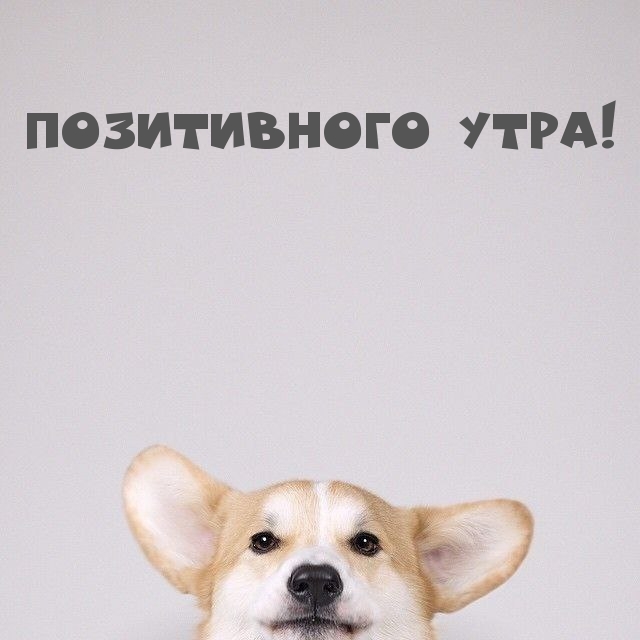 Позитивного утра!