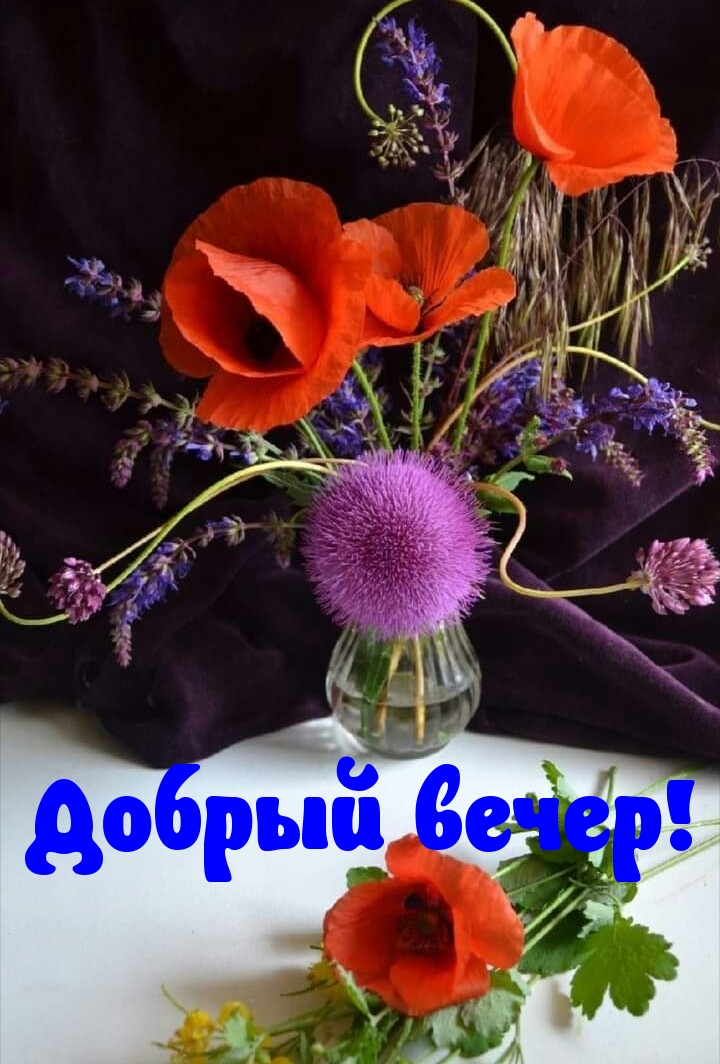 Добрый вечер!