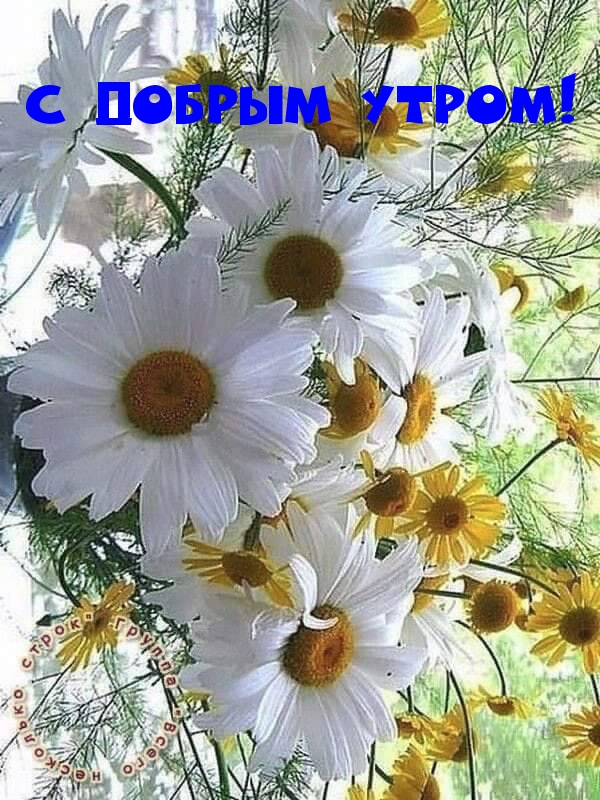 С добрым утром!