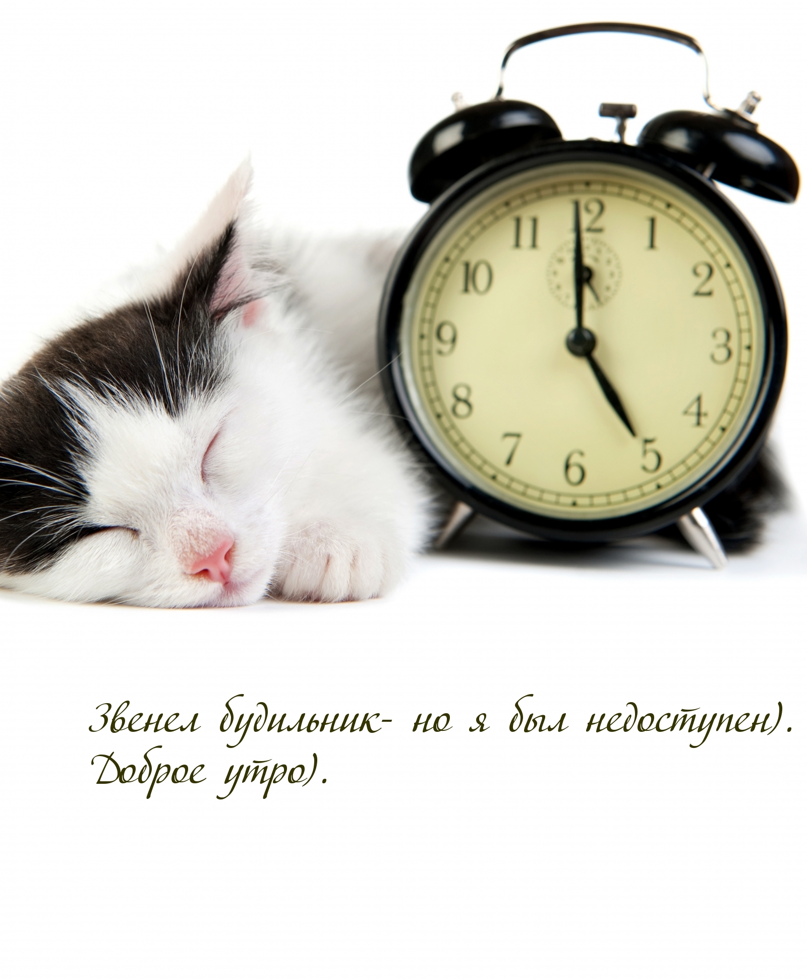 Звенел будильник — но я был недоступен). Доброе утро).