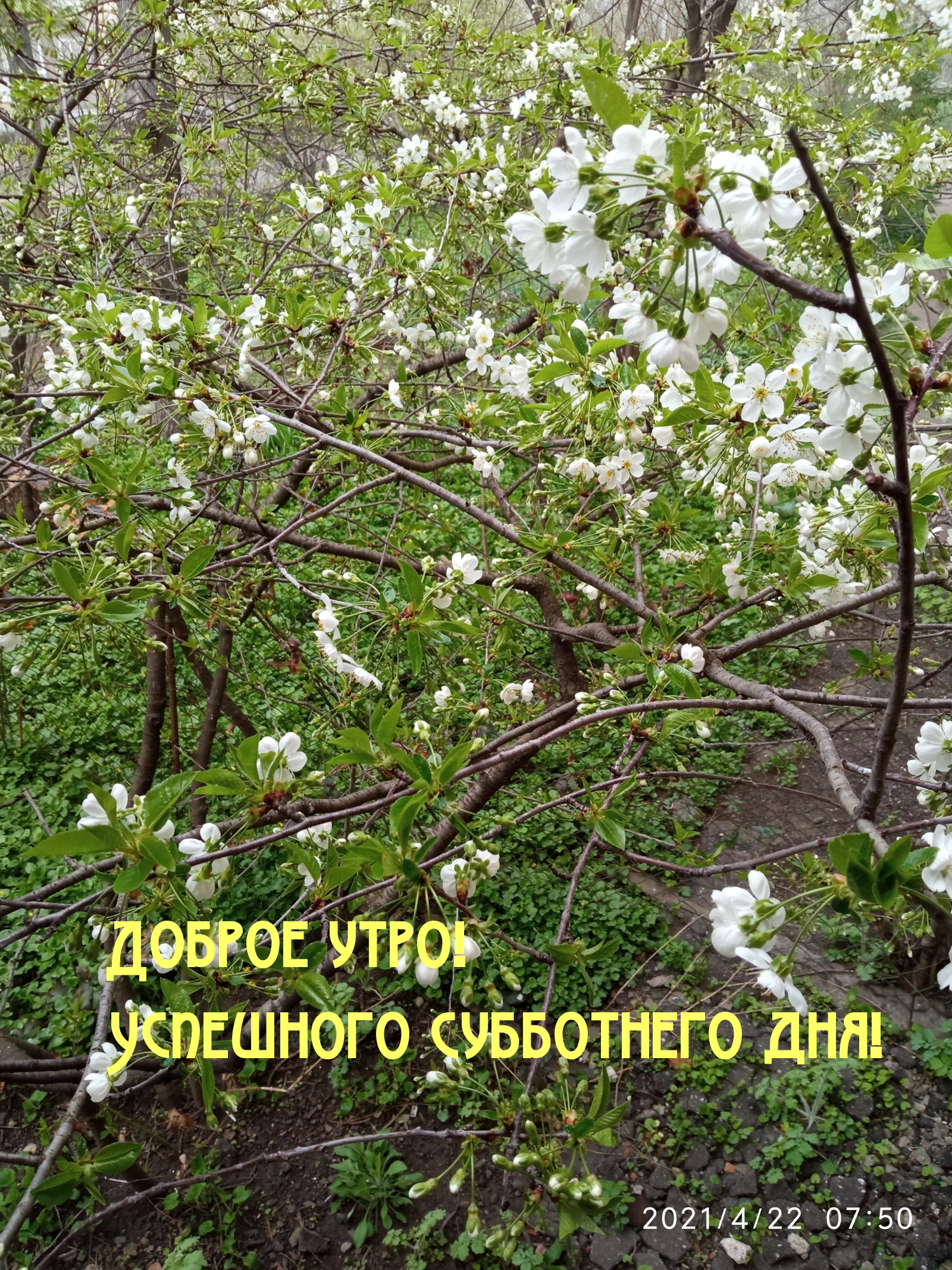 Доброе утро! Успешного субботнего дня!