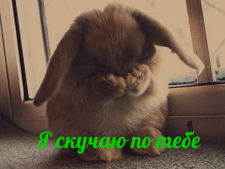 Я скучаю по тебе