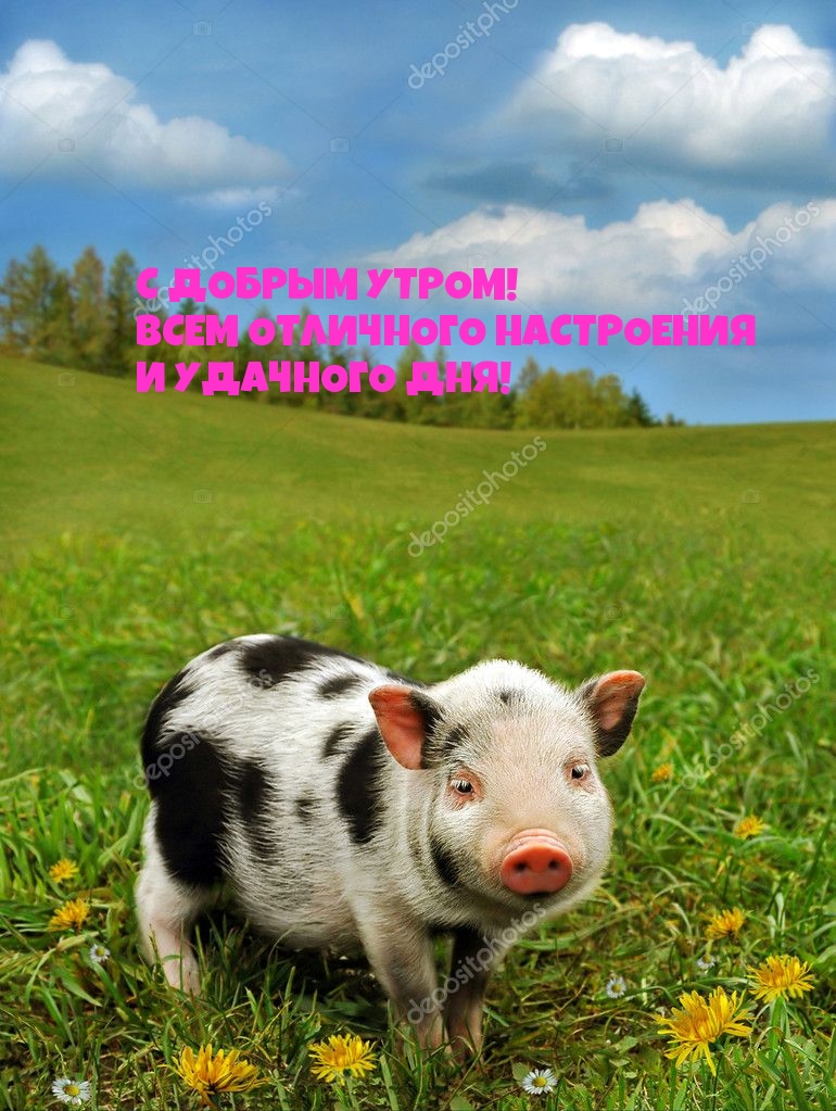 С добрым утром! Всем отличного настроения