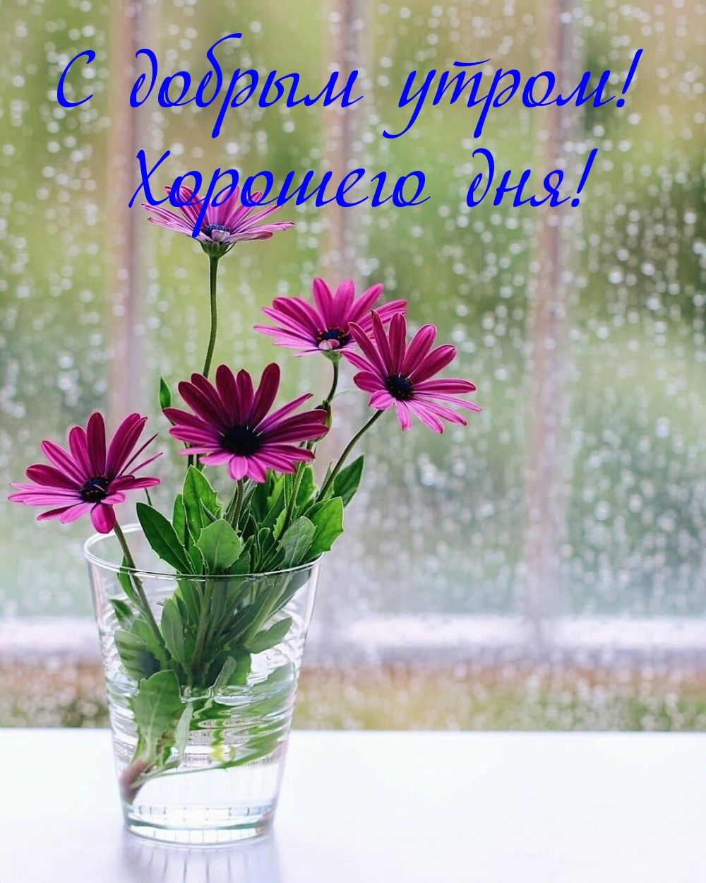 С добрым утром! Хорошего дня!