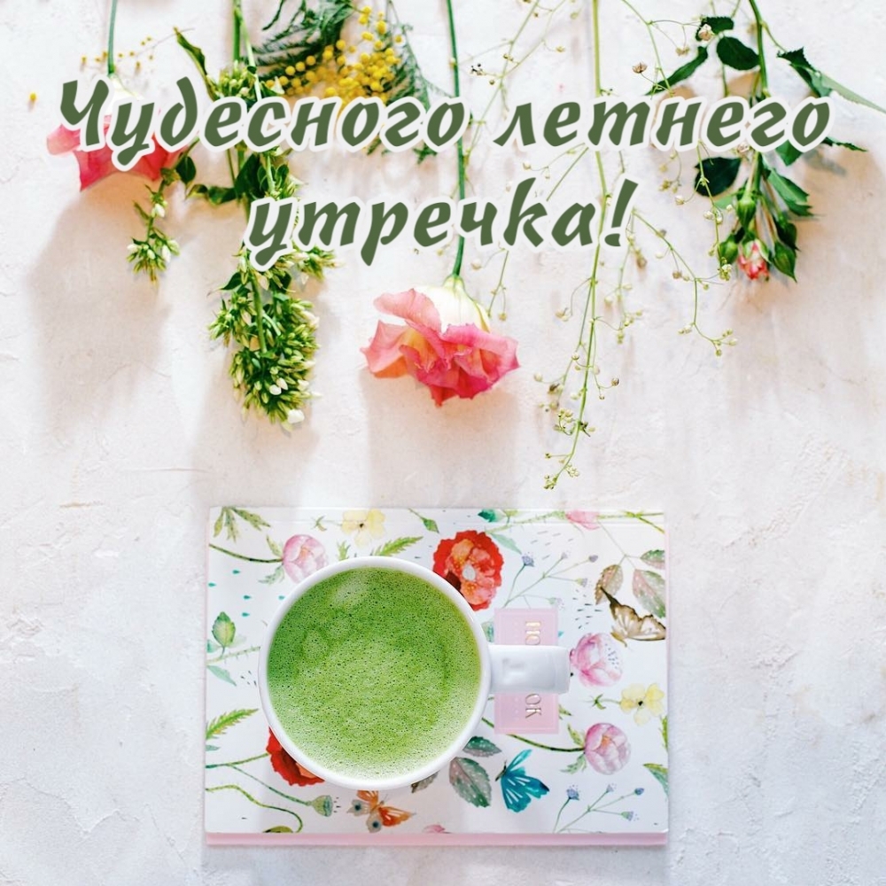Чудесного летнего утречка!