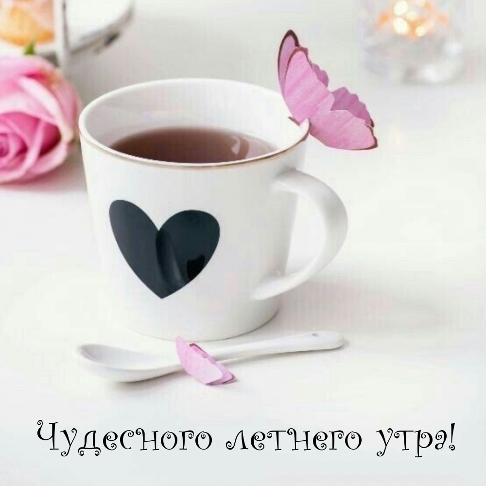 Чудесного летнего утра!