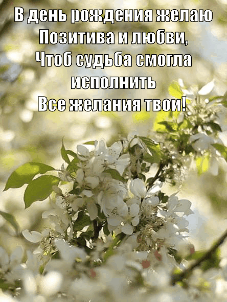 Чтоб судьба смогла исполнить Все желания твои!