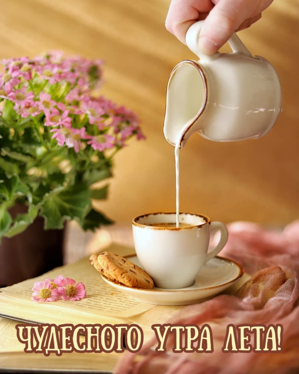 Чудесного утра лета!