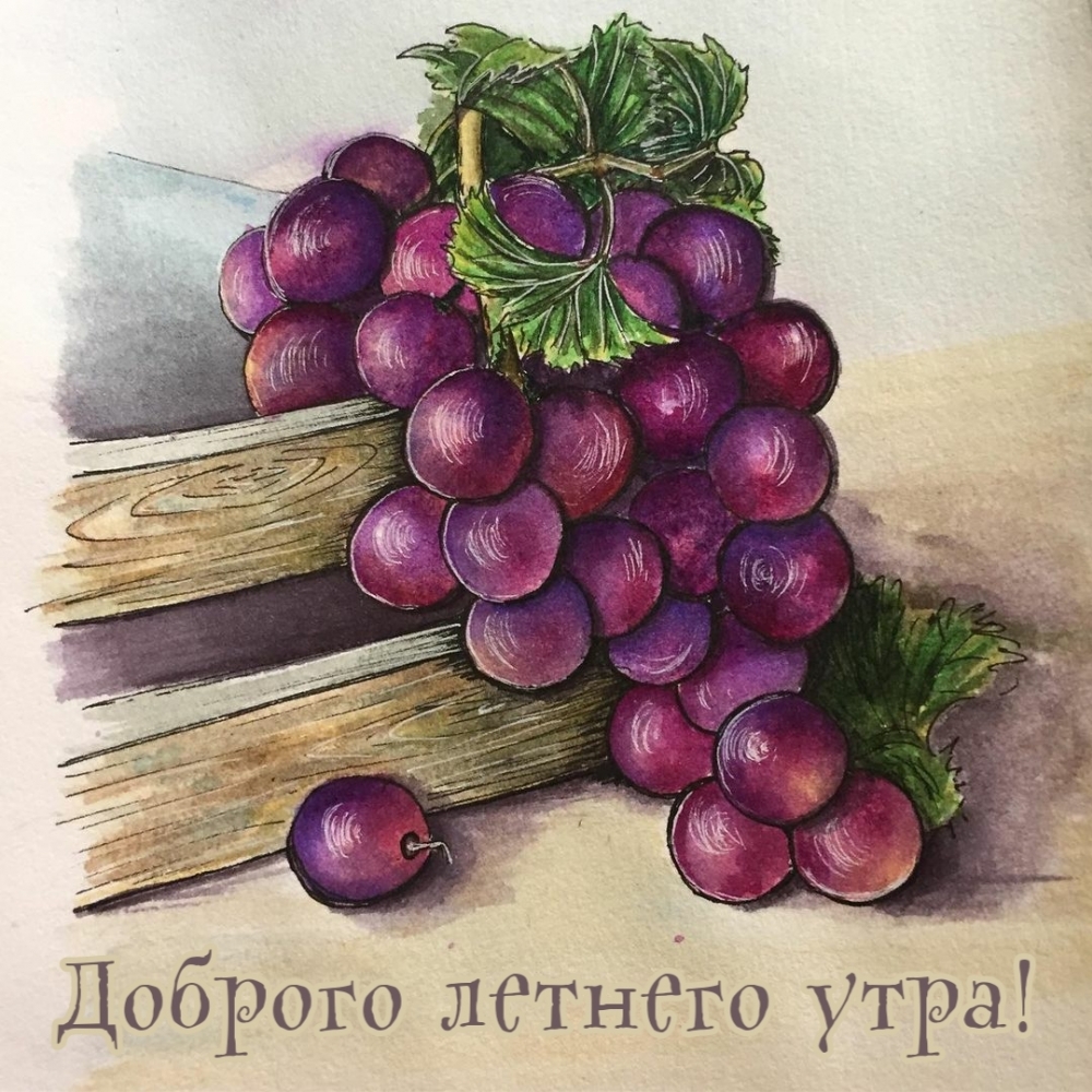 Доброго летнего утра!