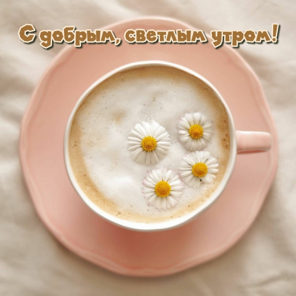 С добрым, светлым утром!