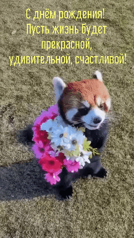 С днём рождения! От зверушки с цветами