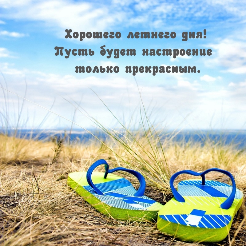 Хорошего летнего дня! Пусть будет настроение только прекрасным.