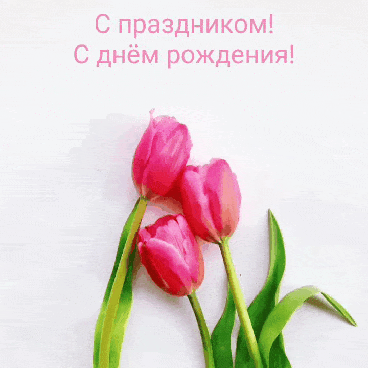 С праздником! С днём рождения!