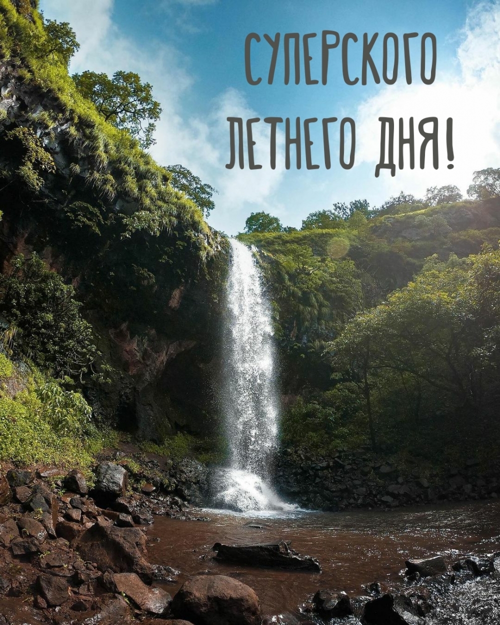 Суперского летнего дня!