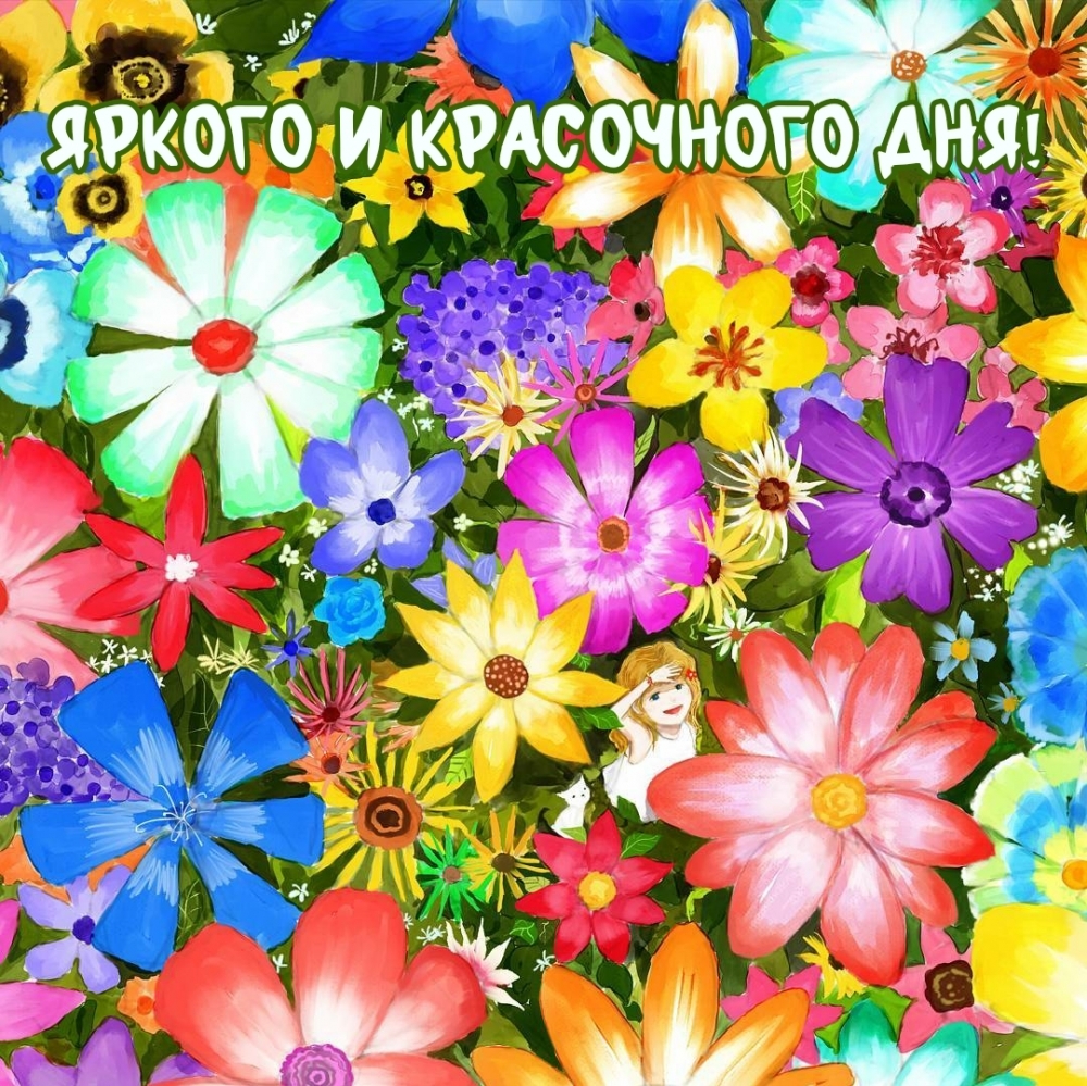 Яркого и красочного дня!